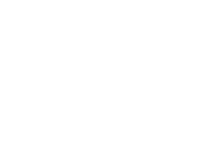 Blue Ridge Maritime Partners, LLC