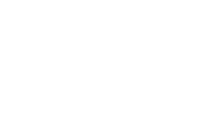 Elite Mgmt Group