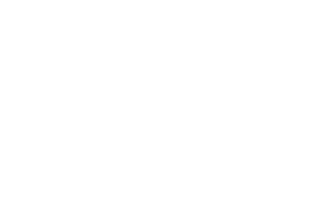Talent Management Solutions, LLC